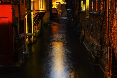 Bologna11