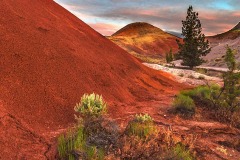 painte-dunes-piccola