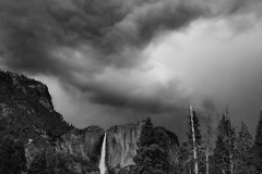 DSC_0088-bn-web