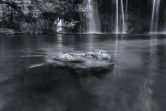 DSC_0138-web