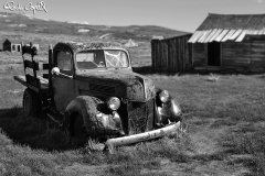 DSC_0198-fatta-crop-web