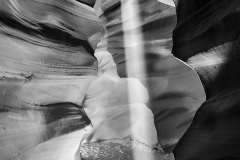 DSC_0466-web