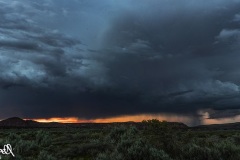 cieli14