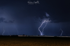 cieli29