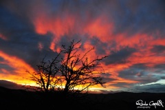 cieli12