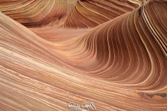wave-14